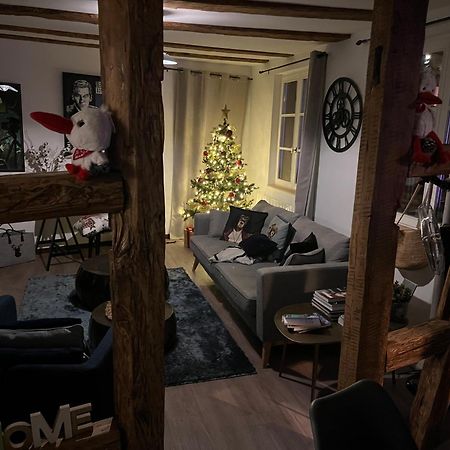 Apartament Le Schdorky Colmar Zewnętrze zdjęcie